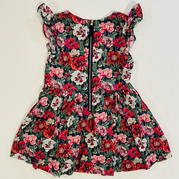 J Crew Liberty Ruffle Shoulder Dress Girls 2 2T Amelie Poppy Floral Crewcuts - Picture 5 of 7